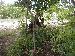 dirtrider314 photo # 1