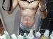 dnkng photo # 2