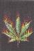 Dougler420 photo # 1