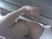 domm2317 photo # 1