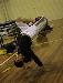 donga87 photo # 1