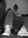 donnie1987 photo # 3