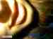 DrUmStAr photo # 7