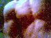 DrtySthSolja photo # 3