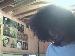 dreads photo # 6