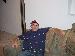 DSFB84 photo # 3