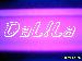 dsl_star photo # 5