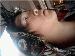 Duker55 photo # 3