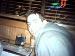 dxbomber3 photo # 2