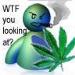 earthmother photo # 4