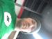 eatons50566 photo # 1