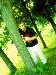 Eeric photo # 10
