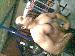 Erosmx photo # 3
