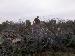 erice2 photo # 2