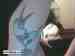 evil_kid_67 photo # 7