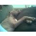 exciter_28 photo # 2