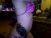 Fabulous0420 photo # 10