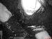 fakeAsmile photo # 1