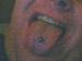 fasteddie073 photo # 1