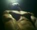 Fenrir_Thor photo #9