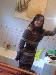foxygal95 photo # 6