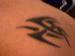 Freedom_m photo # 3