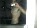 frnk077 photo #2