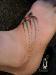 funsize photo # 4