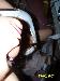 funsize photo # 5