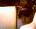 fusionboy29 photo # 3