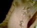 GirlyGirl21 photo # 3