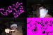 gillywilly62 photo # 1