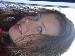 gingersnap photo # 4
