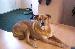 gizmo_123 photo # 4