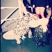 Gorgeoustee photo #11