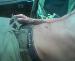 goCrazy05 photo # 3