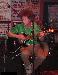 green157 photo # 2