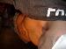 groove85 photo # 1