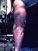 GUNS554 photo # 3