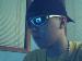 h3adsprung photo # 1