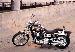 Harleyman67 photo # 6