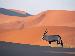 harisj2151 photo # 1