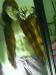 hbk303 photo # 8