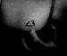 Hello_Im_Tab photo # 8