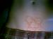 HIM666 photo # 9