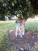 hippieman64 photo # 6