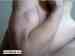 hndapmp13 photo # 8