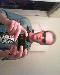 HONAZLIAR79 photo # 1