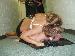 HotElle29 photo # 6