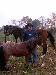 horsefarrier photo # 2